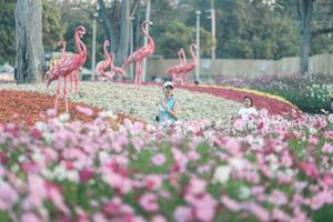 BIB: 
                            <button type="button" onclick="openModal(27343997)" class="btn btn-primary btn-sm float-right btn-popup" data-toggle="modal" data-target=".modal-high-quality">
                        <i class="fas fa-shopping-cart"></i> Add to Cart
                    </button>
                                            <button type="button" onclick="isThisMe(27343997, true)" class="btn btn-success btn-sm float-right btn-popup btn-isme hidden" data-toggle="tooltip" data-placement="bottom" title="นี่คือรูปของคุณใช่ไหม คลิกที่นี่เพื่อเอาเข้าอัลบั้ม">
                        <i class="fas fa-plus"></i> Add to album
                    </button>
                    <button type="button" onclick="isThisMe(27343997, false)" class="btn btn-warning btn-sm float-right btn-popup btn-isnotme hidden">
                        <i class="fas fa-ban"></i> Remove from album
                    </button>